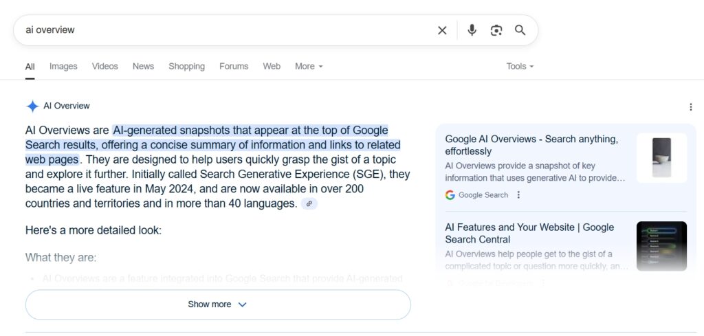 Google’s AI Overviews Explained-Screenshot